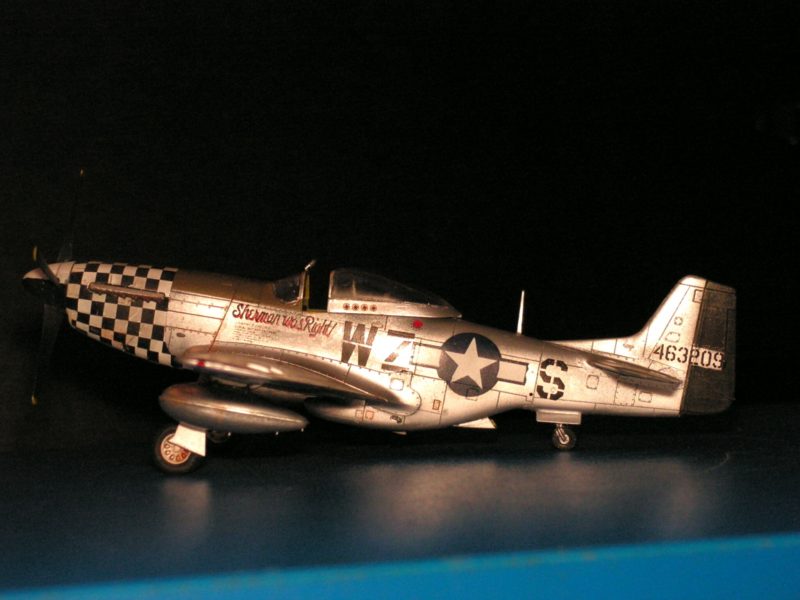 P51 Mustang Tamiya Pict0001cb