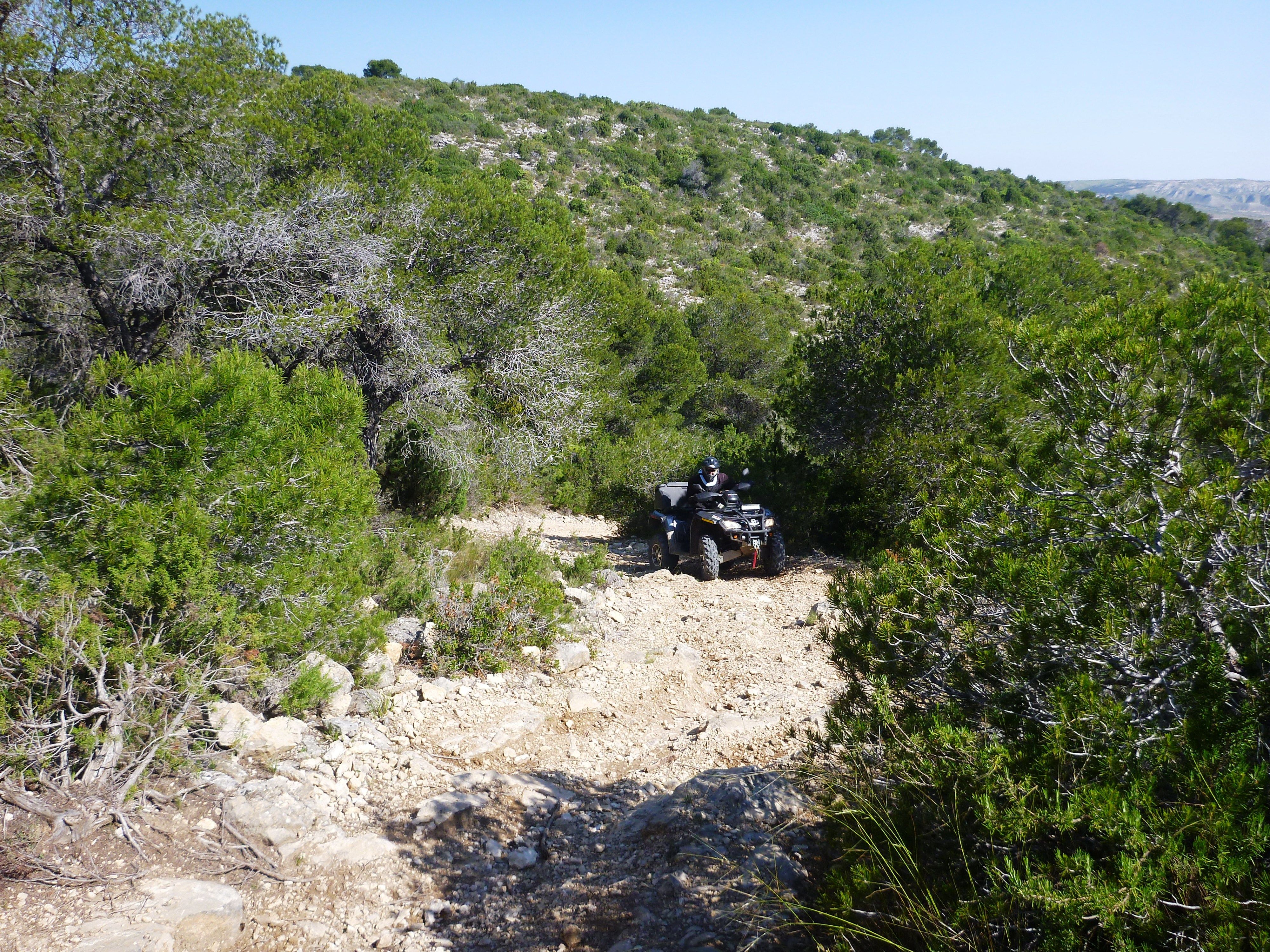 PANTANO DE TOSOS Y45a