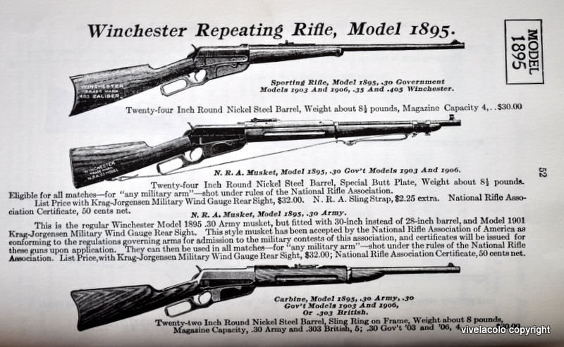 winchester 1895 - WINCHESTER 1895  Dsc0969g