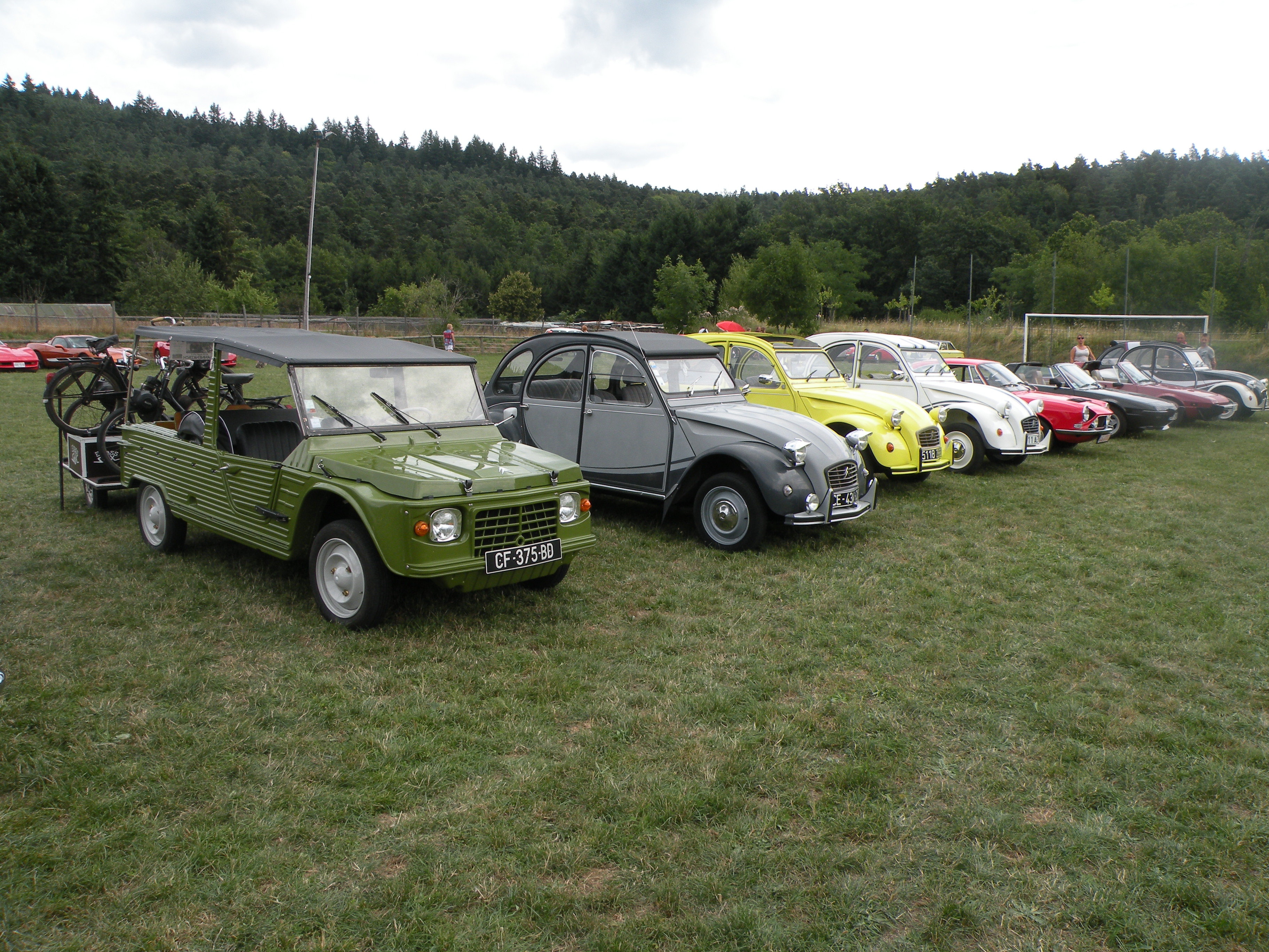 Expo Auto-Moto à Thannenkirch du 18.08.2013 7pvk