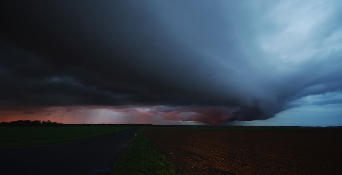 Arcus surprise Copiedeimgp8356