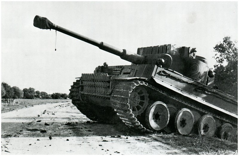 tiger - Tiger I du sPzAbt. 501 en Tunisie 1943 Oliveraies