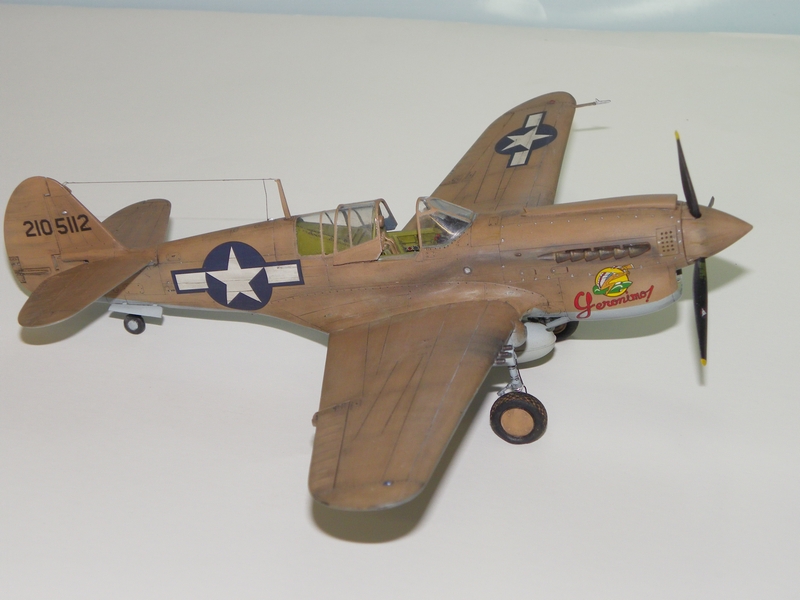 Curtiss P-40 N Camo sable - Hasegawa - 1/48  Imgp0602l