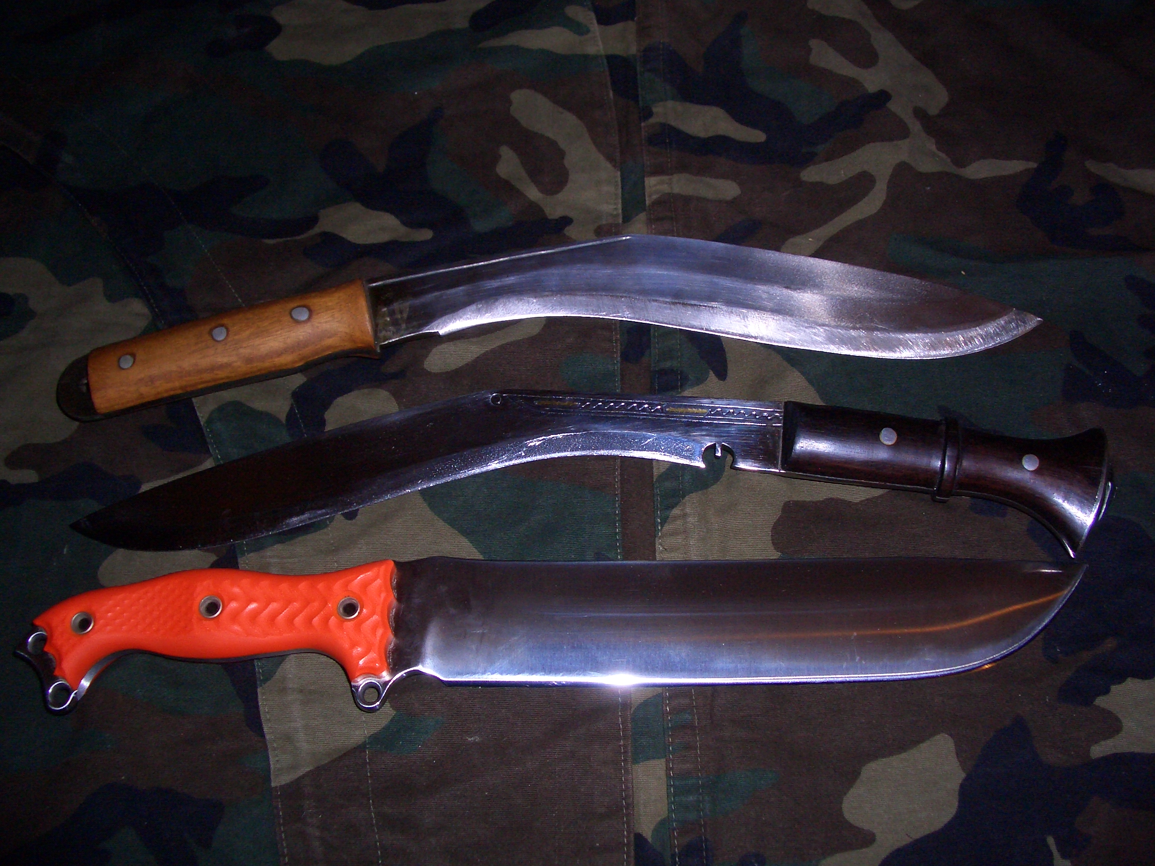 Busse SoS nmfbm Cimg7281