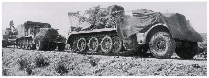 tiger - Tiger I du sPzAbt. 501 en Tunisie 1943 Tigerinr813spzabt501pri