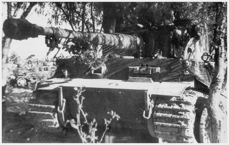 tiger - Tiger I du sPzAbt. 501 en Tunisie 1943 Tigerinr132spzabt5011er