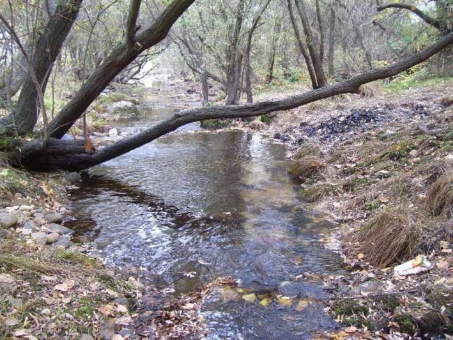 Parc naturel de la Pedriza, 09/11/2007 1000854in7