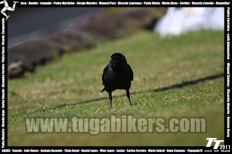 Isle Of Man 2011 by Tugabikers - Pgina 15 Img6747copy