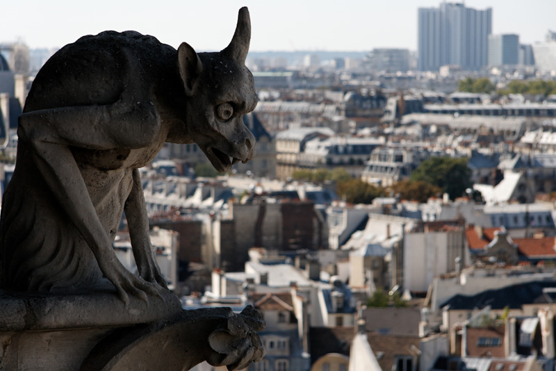 Chimères de Notre-Dame de Paris Img5283bk9