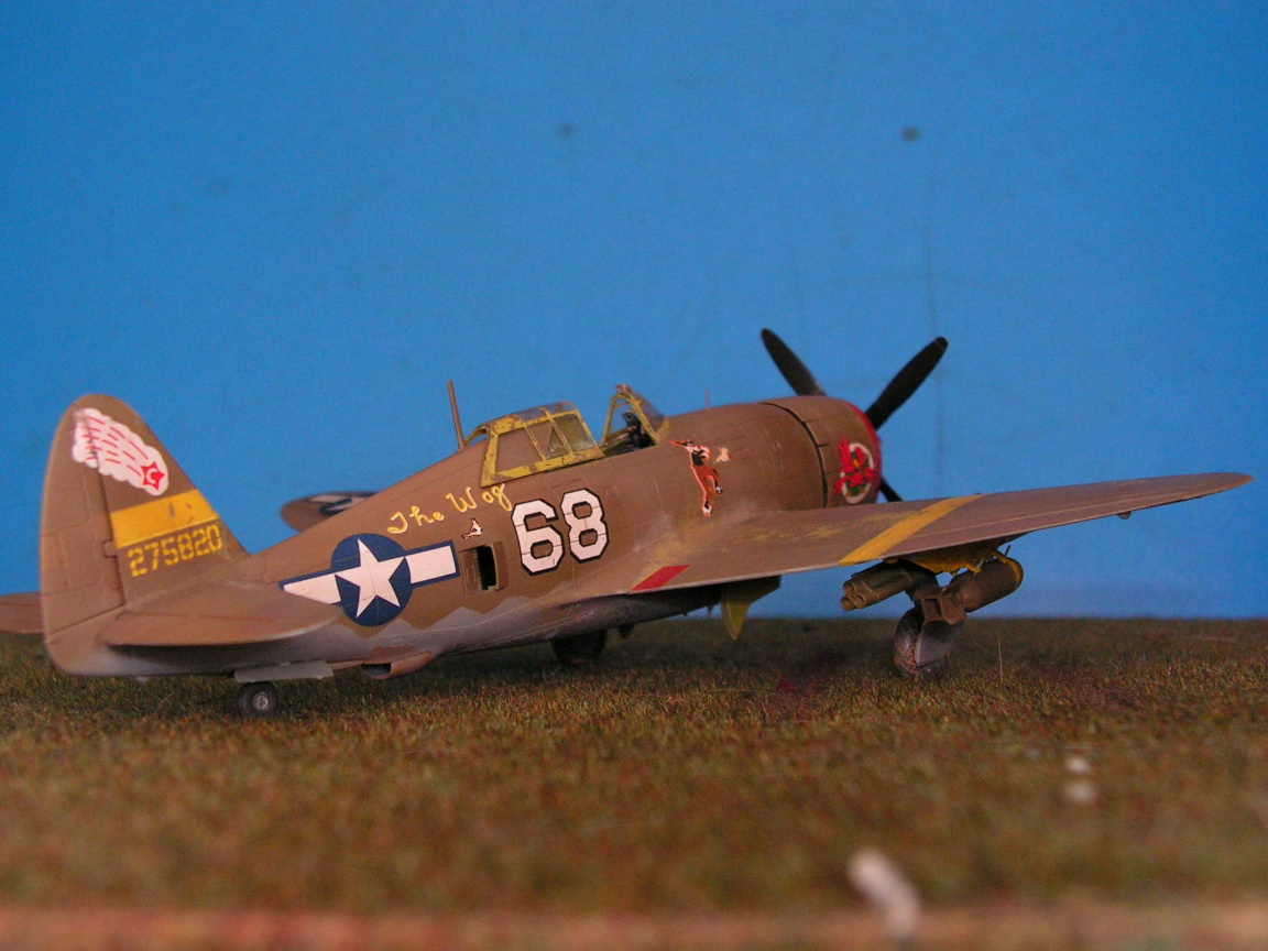 P 47 D15 RE Tamiya Razorback Pict0004ha