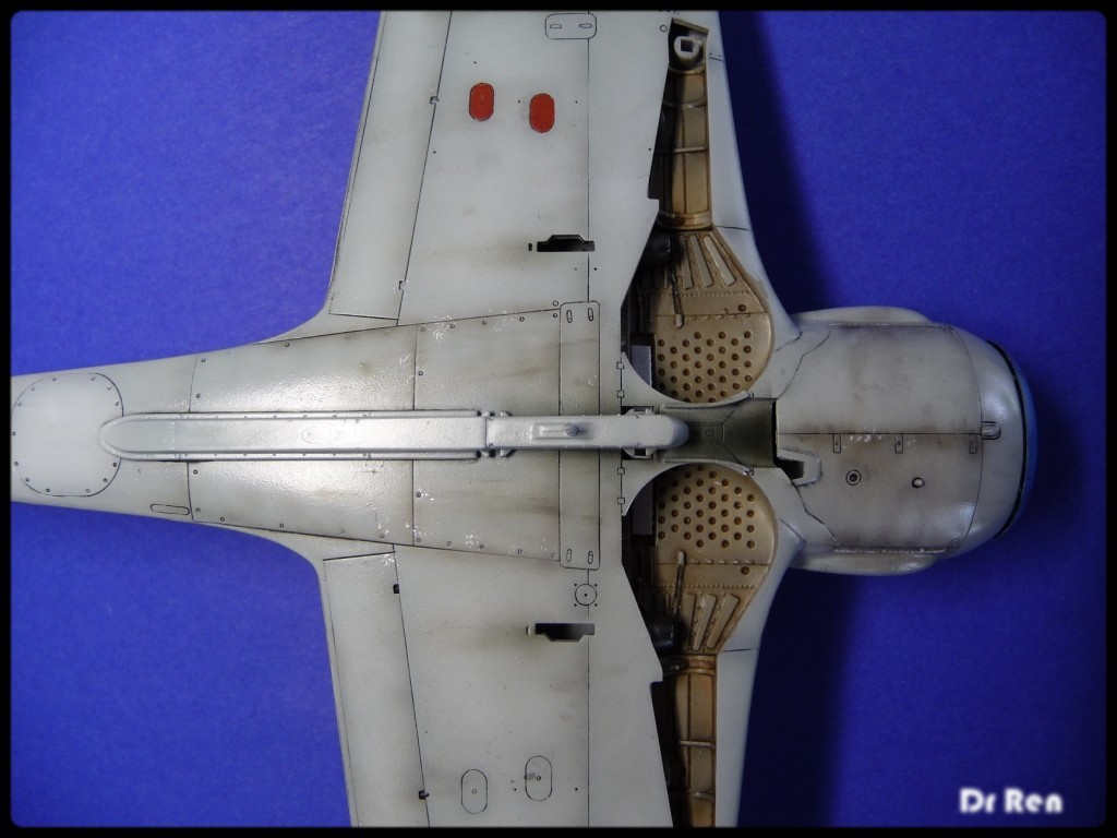 [Hasegawa] 1/48 - Focke Wulf Fw 190A-8 - Page 2 P1040087p