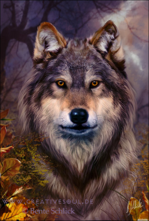 Le Déva des Loups Automnee