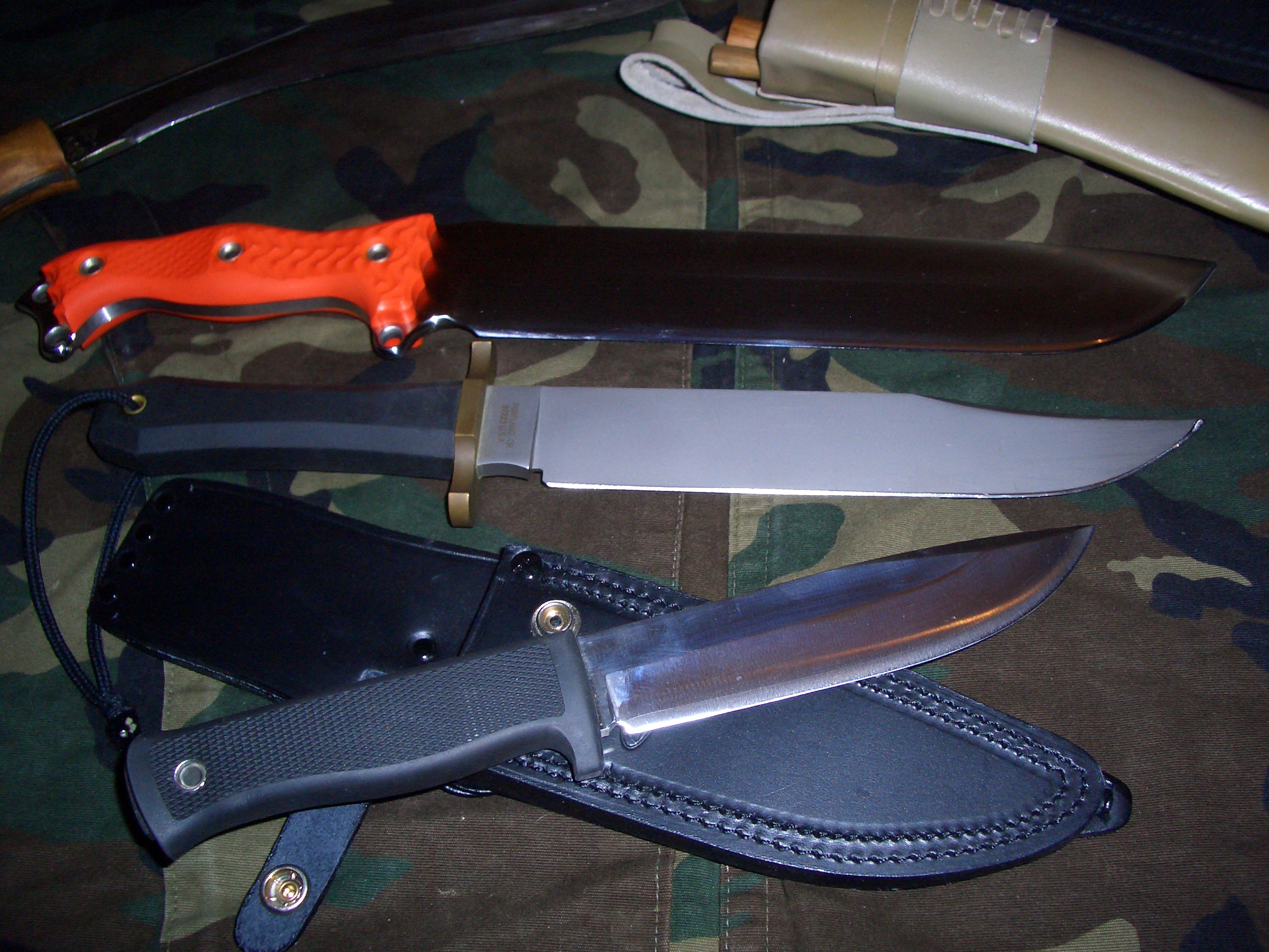 Busse SoS nmfbm Cimg7270k