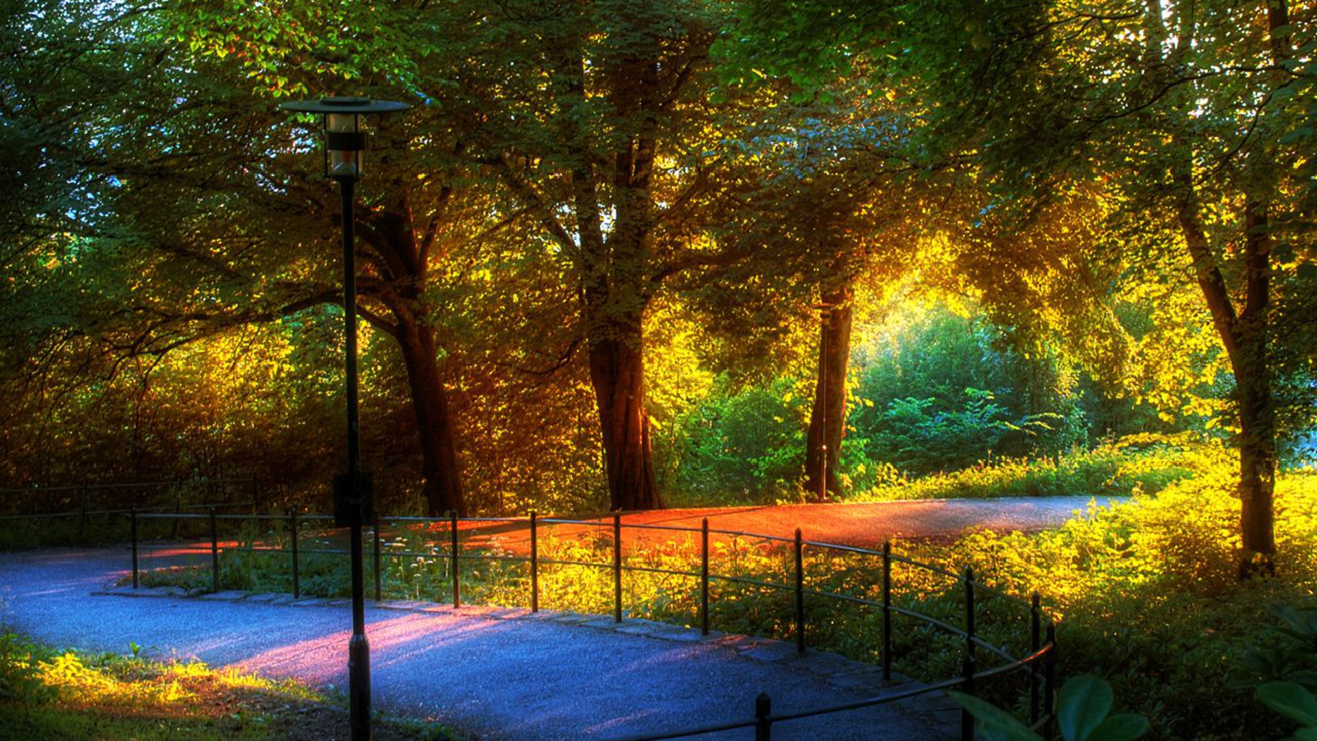 Landscapers Wallpapers - Page 3 Lastsunlightinthepark89