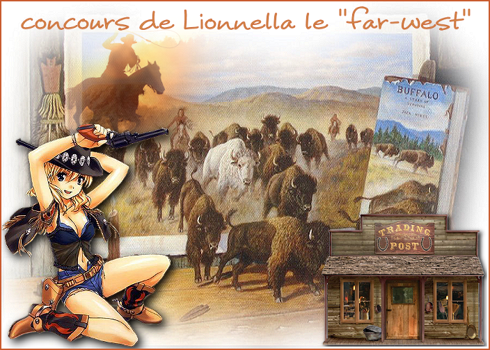 TERMINER concours de décembre " LE FAR-WEST" 41561287