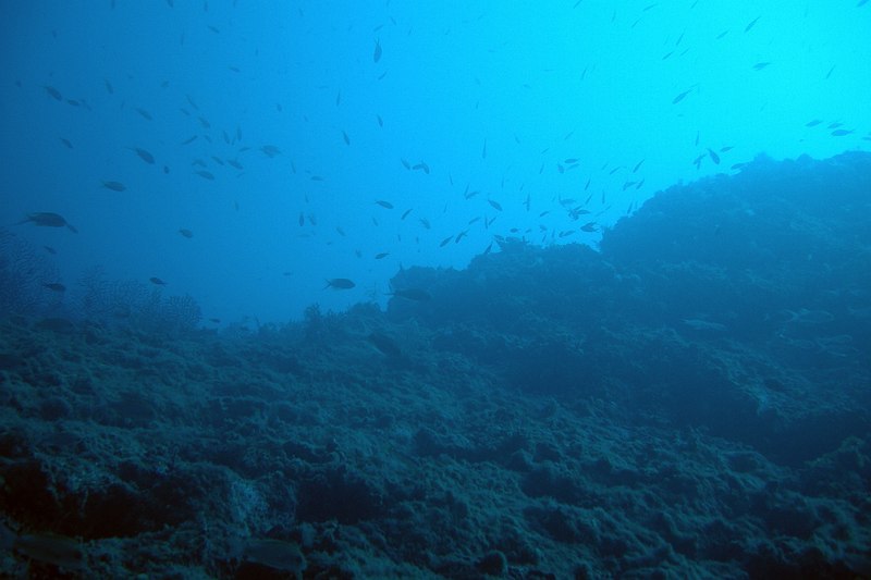 Pointe Cap Martin 09152011pointecapmartin