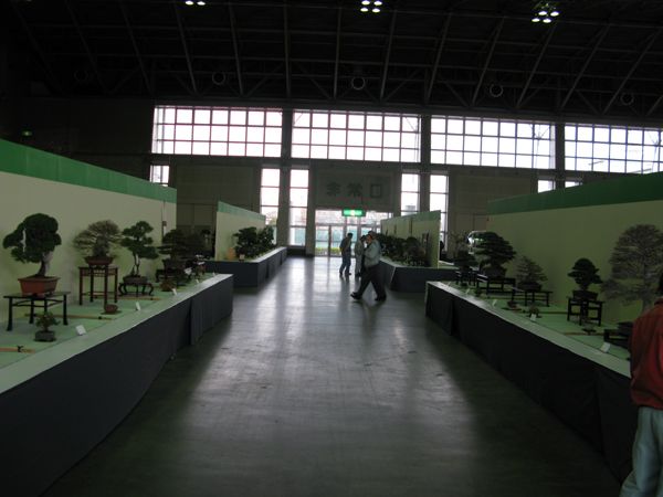 Centro bonsai tenerife en JAPÓN - Página 24 82130481