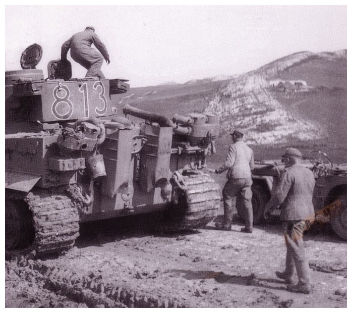 tiger - Tiger I du sPzAbt. 501 en Tunisie 1943 Tigerinr813spzabt501dev