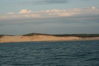 phoque a arcachon!!!! - Page 2 Img1775yo3.th