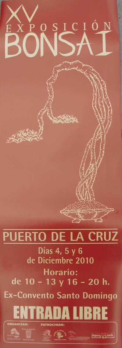 XV Exposición del Puerto de la Cruz  20961775