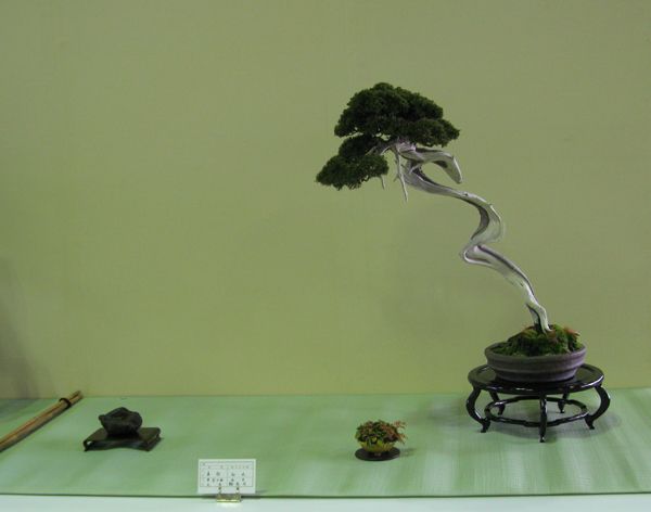 Centro bonsai tenerife en JAPÓN - Página 24 101vr