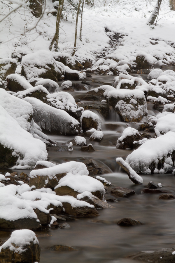 Ninglinspo sous la neige Mg2164201012197d