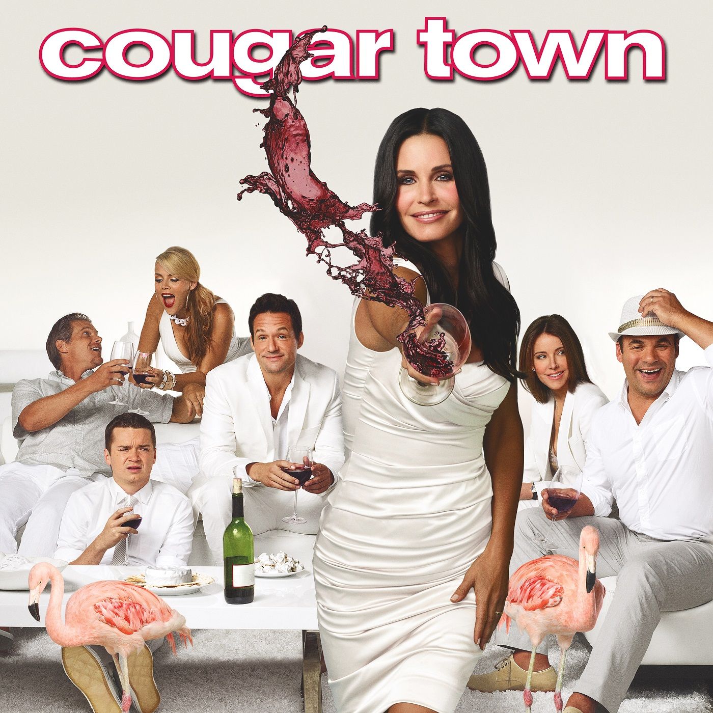 x264 - Cougar Town S01-04 480p WEB-DL x264 3b15