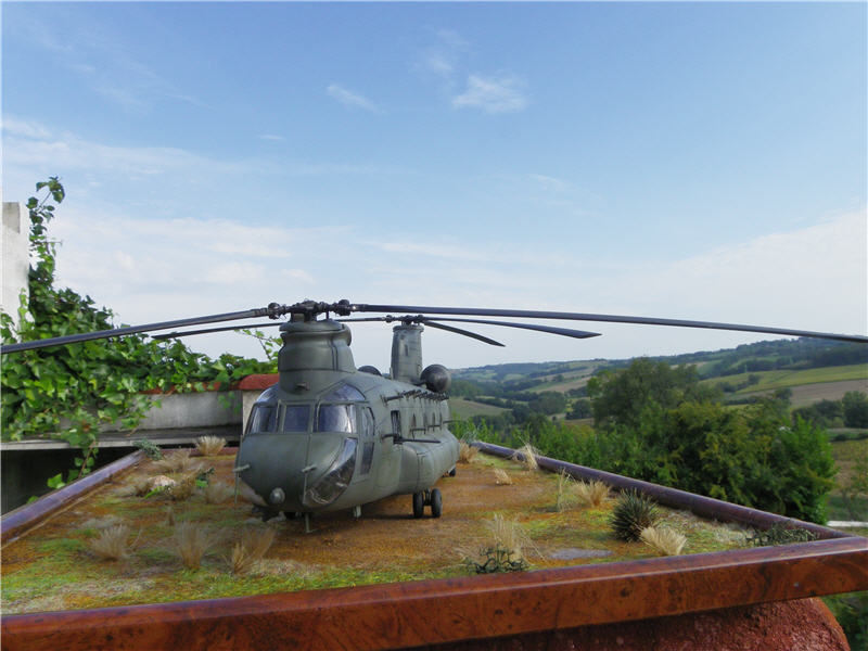 [Concours VietNam] CH-47 Chinook C - Revell - 1/48 - Mise à jour du 03-09-11 - FINI! - Page 5 Imgp7345r