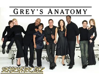 GREY'S ANATOMY (LEGENDADA) Greyssf