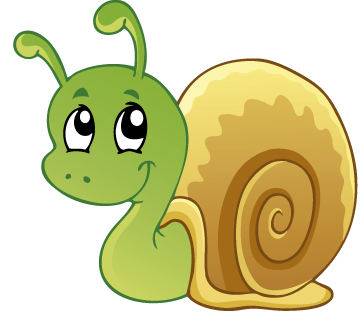 Caracol 8GcLnL