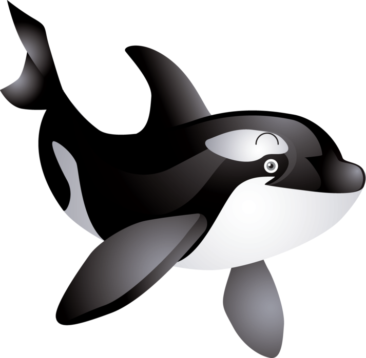 Orca--- 6E1J5M