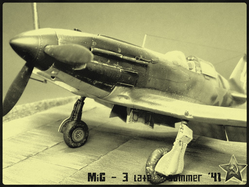 MiG3 [Trumpeter] 1/48 - Page 6 P1060009spia