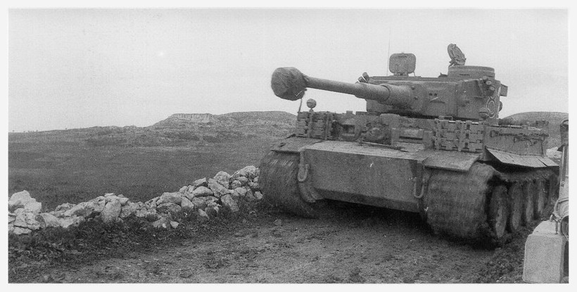 tiger - Tiger I du sPzAbt. 501 en Tunisie 1943 Tigerinr823spzabt501