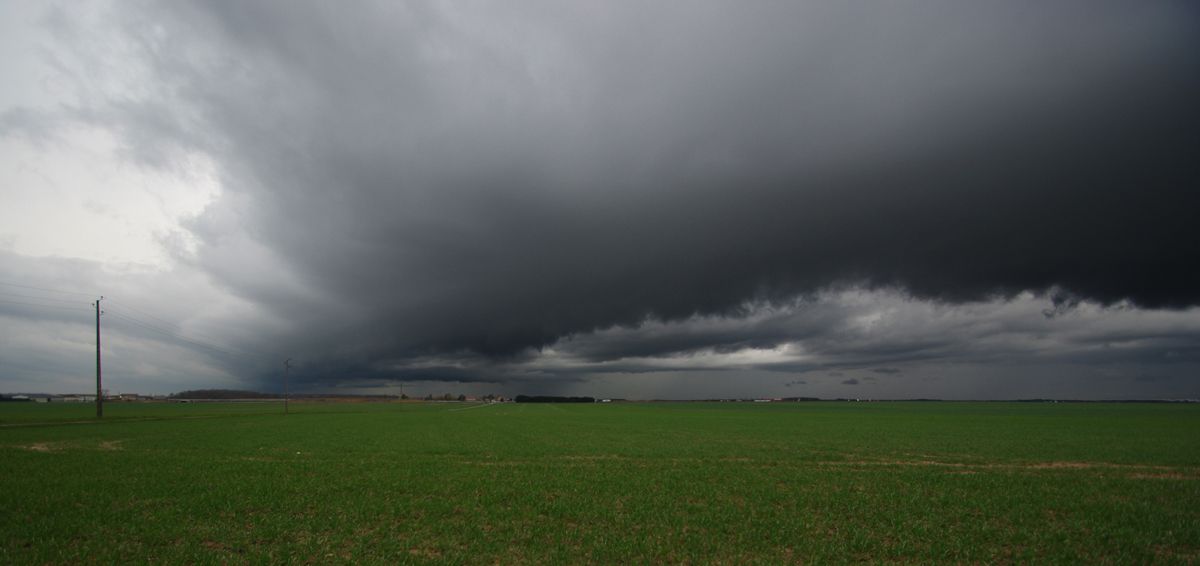 Arcus surprise Copiedeimgp8319