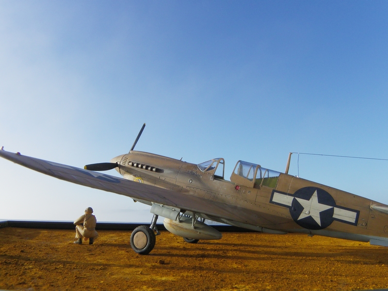 Curtiss P-40 N Camo sable - Hasegawa - 1/48  Imgp0710