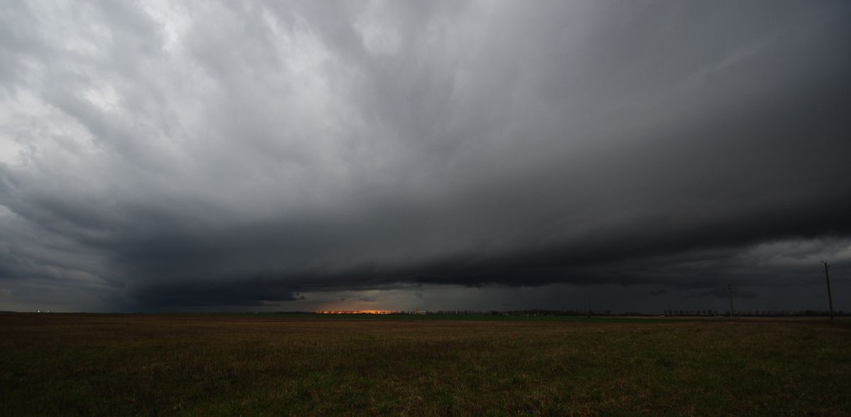 Arcus surprise Copiedeimgp8327