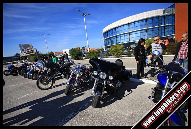 "Passeio" com amigos Harley Davidson viagem at Expo Batalha 2011 Img3293copy