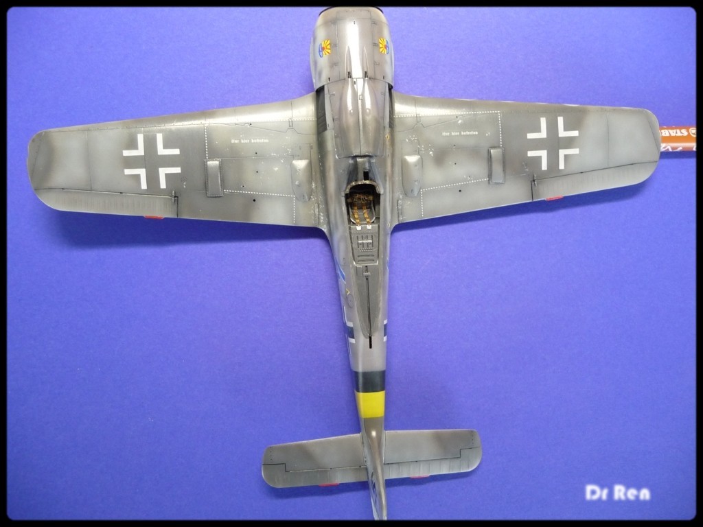 [Hasegawa] 1/48 - Focke Wulf Fw 190A-8 - Page 2 P1040084t