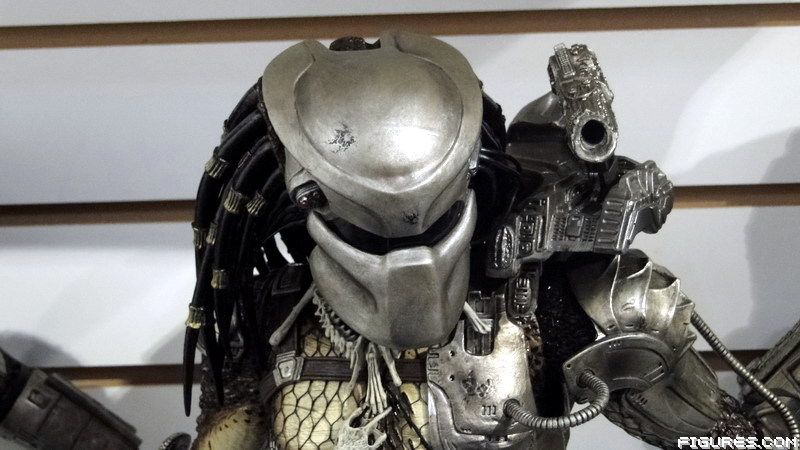 Predator Saga Series Dsc04499tt