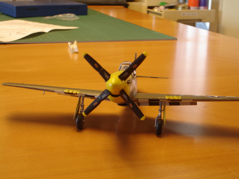 P 51 D mustang 002is