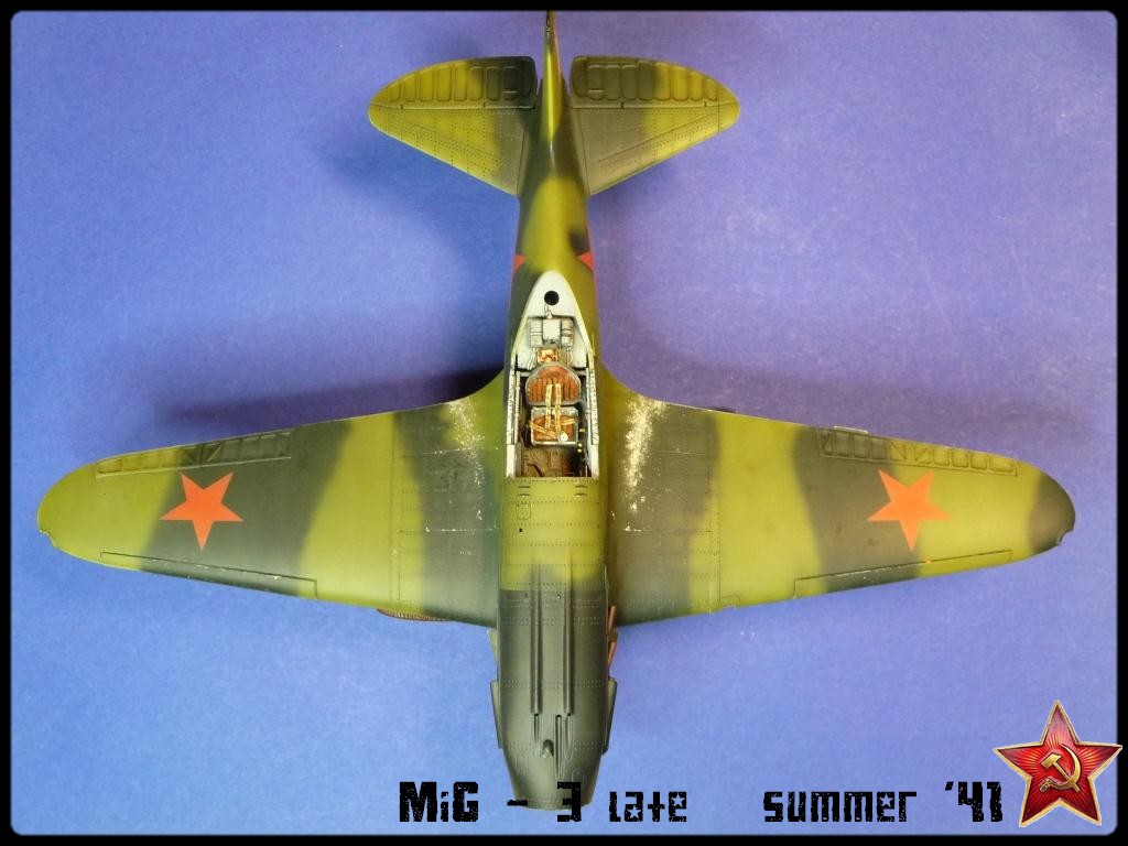 MiG3 [Trumpeter] 1/48 - Page 6 P1050963f
