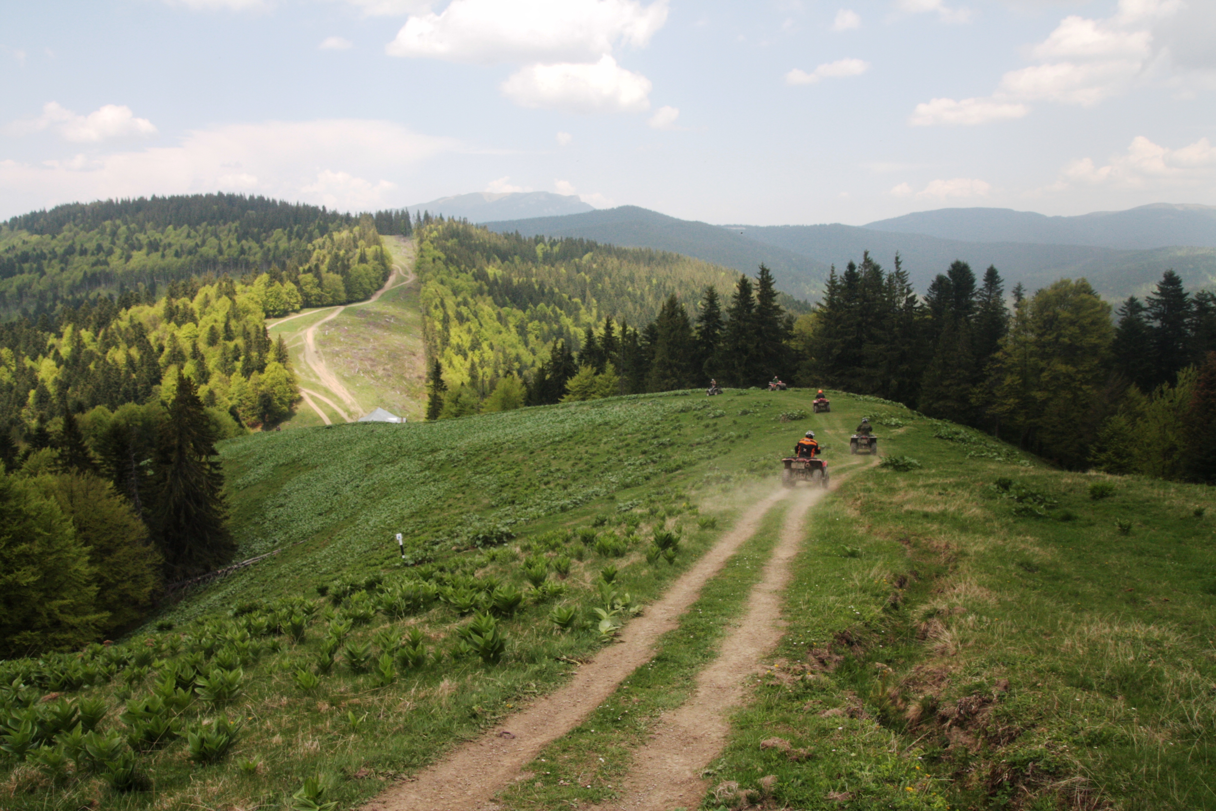 TRANSILVANIA 2013, UNA ILUSIÓN DE GRUPO Img1431yg