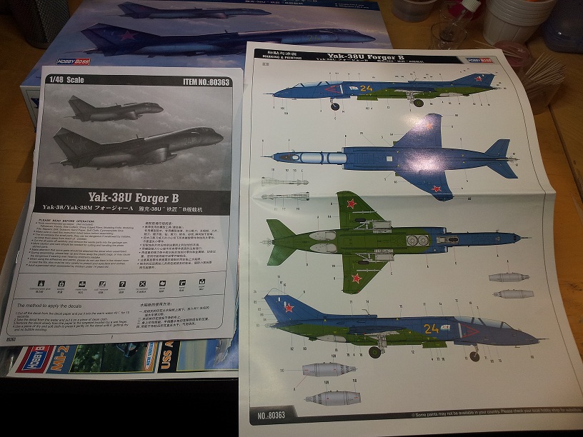 YAK-38U Forger B (HOBBY BOSS 1/48) 20120508213513