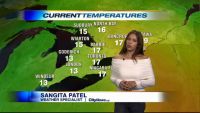 Sangita Patel - Page 7 Patel10149.th