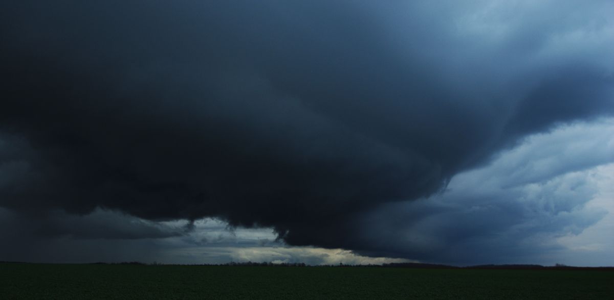 Arcus surprise Copiedeimgp8339