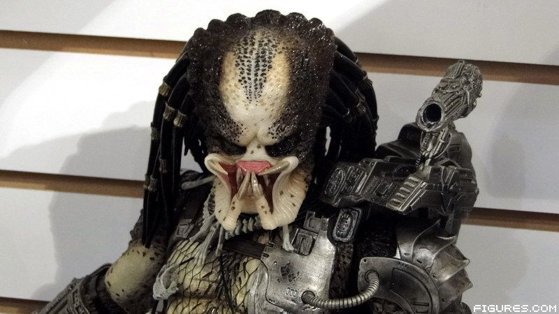 Predator Saga Series Dsc04497l