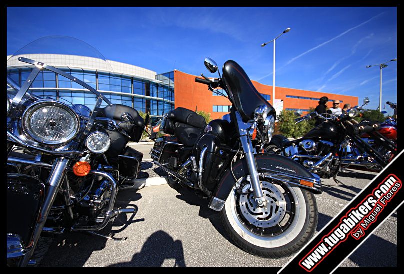 "Passeio" com amigos Harley Davidson viagem at Expo Batalha 2011 Img3292copy