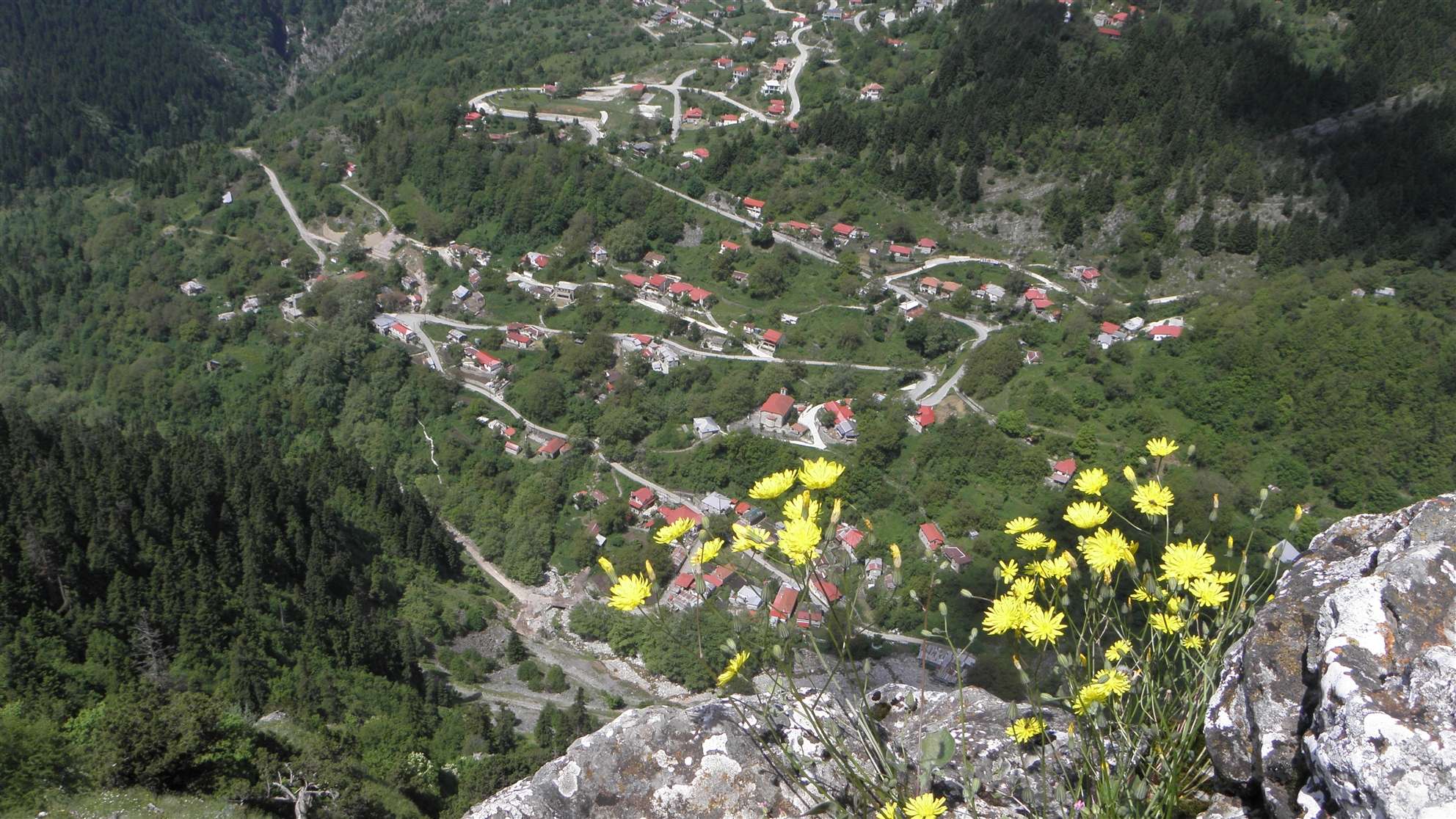    Η εκδρομή της Τρίτης (No II) με το CBF 31/5/11 Lplastp6010748