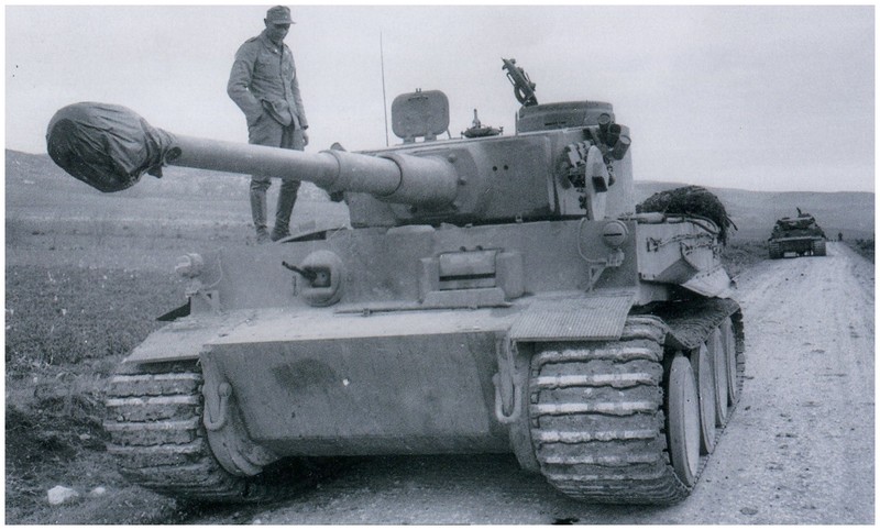 tiger - Tiger I du sPzAbt. 501 en Tunisie 1943 Tigerinr121suividu122sp