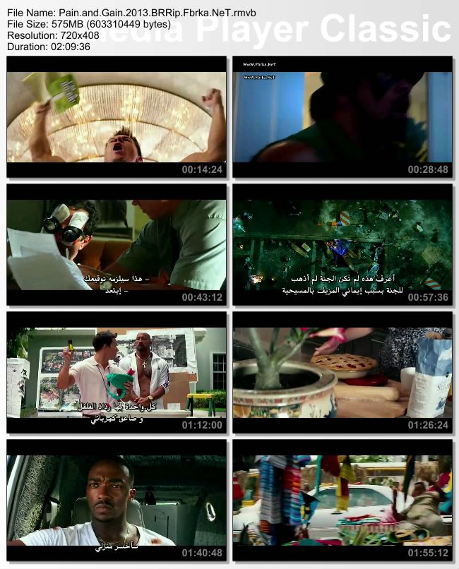 تحميل فيلم Pain & Gain 2013 مترجم BRRip 803n